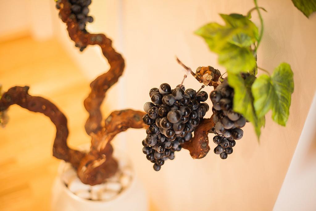 Апартаменты Vineyard Of Шибеник Номер фото